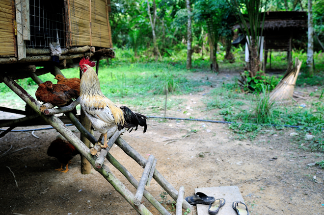 怡保旧街场咖啡二合一,怡保旧街场