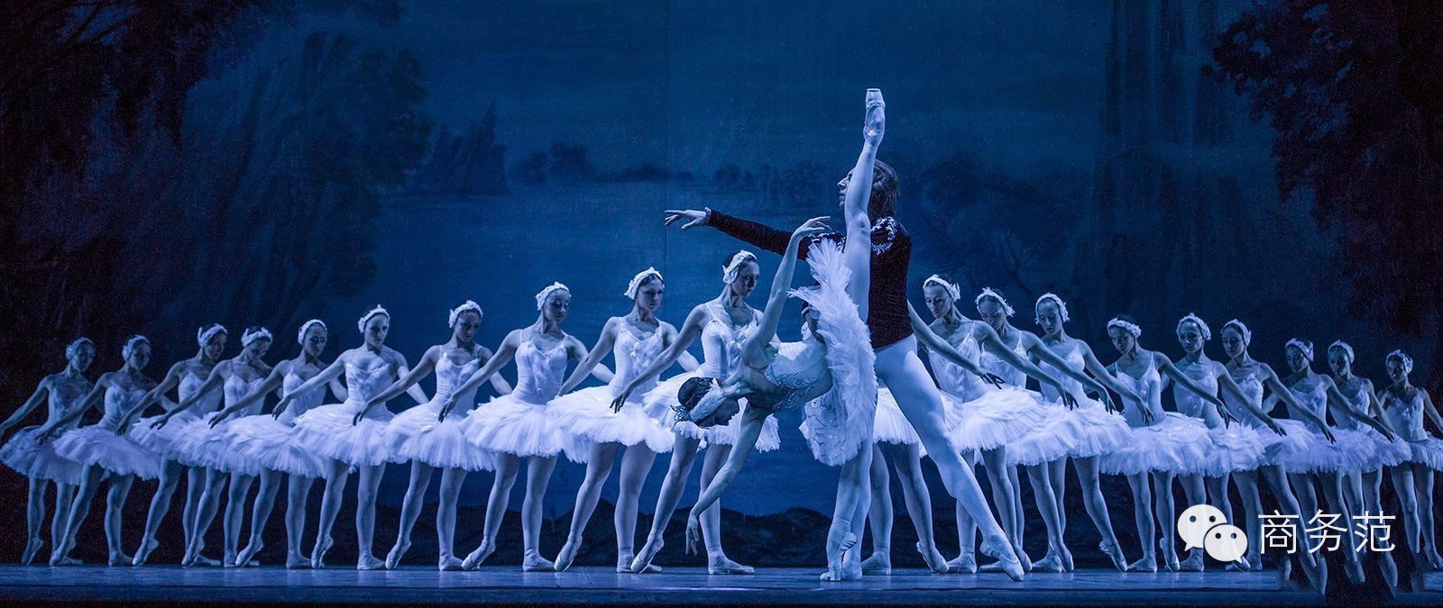 为什么有钱人都爱住别墅,为什么大佬都喜欢四季酒店