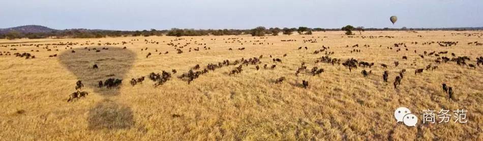 为什么有钱人都爱住别墅,为什么大佬都喜欢四季酒店