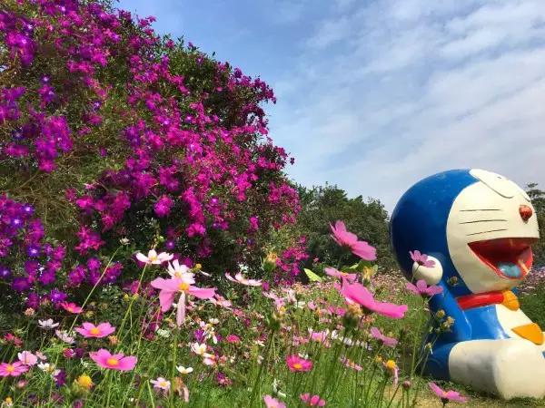 从东莞出发,不到两小时,就可以感受到靓爆灯的童话世界！