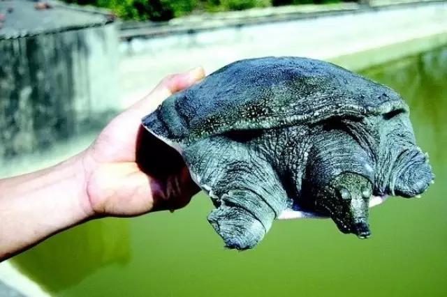 一招教你“发家致富”,99%的人都不知道的致富秘笈