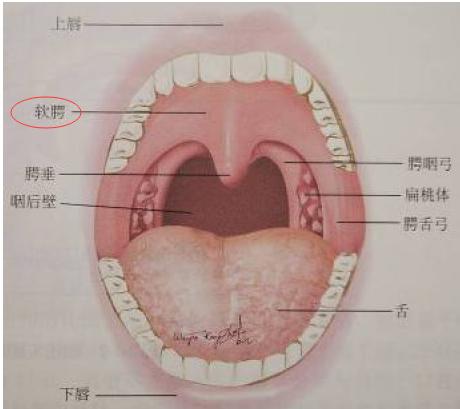 婴儿快速止打嗝小妙招,快速止打嗝小妙招穴位