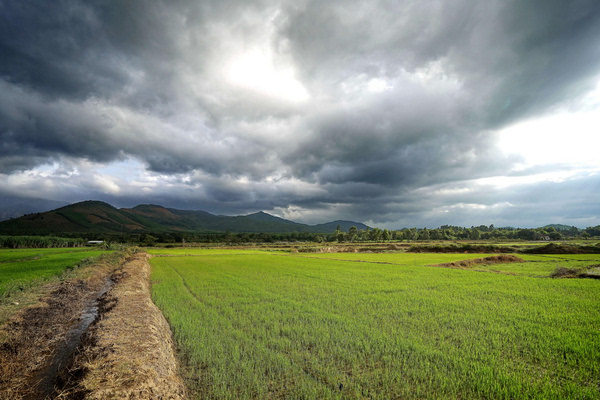 越南芽庄最美的有几个岛,越南芽庄最美的海滩