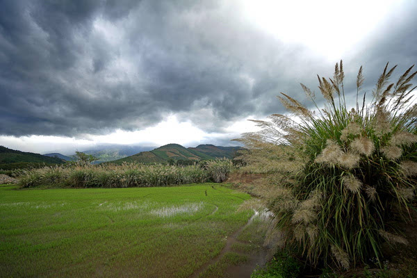 越南芽庄最美的有几个岛,越南芽庄最美的海滩