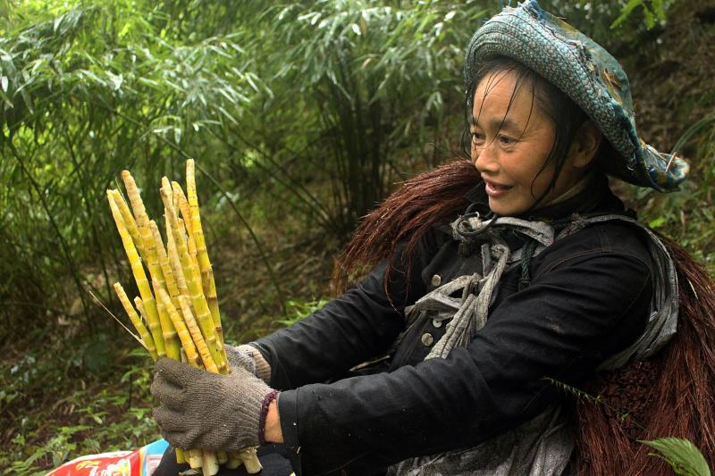 西部刀手,行走于中国道教神山四川洪雅瓦屋山,暗藏杀伐之气!