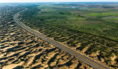 甘草为何称为百药之王,甘草为什么用得少了