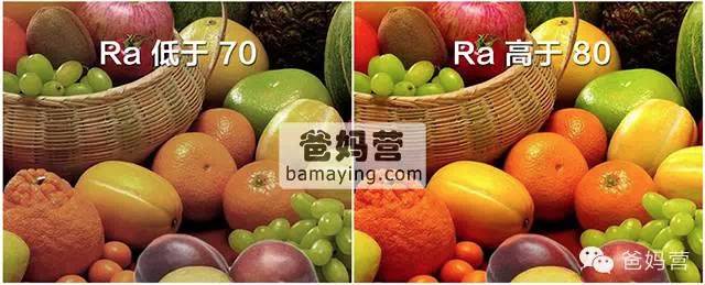 我需要的是麻将灯、美剧灯、波士顿读书人灯