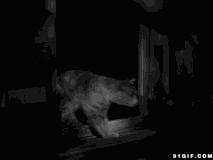 太空狼人杀最尴尬的死法,盘点最奇葩死亡办法