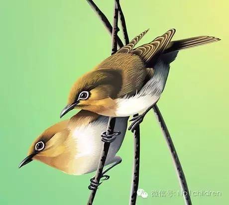 睡前故事夏蝉和大雁,儿童睡前故事大雁搬家