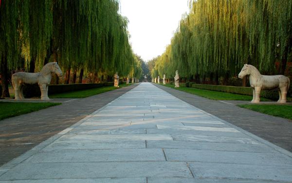 “苹添秋色”—租个房车去旅行