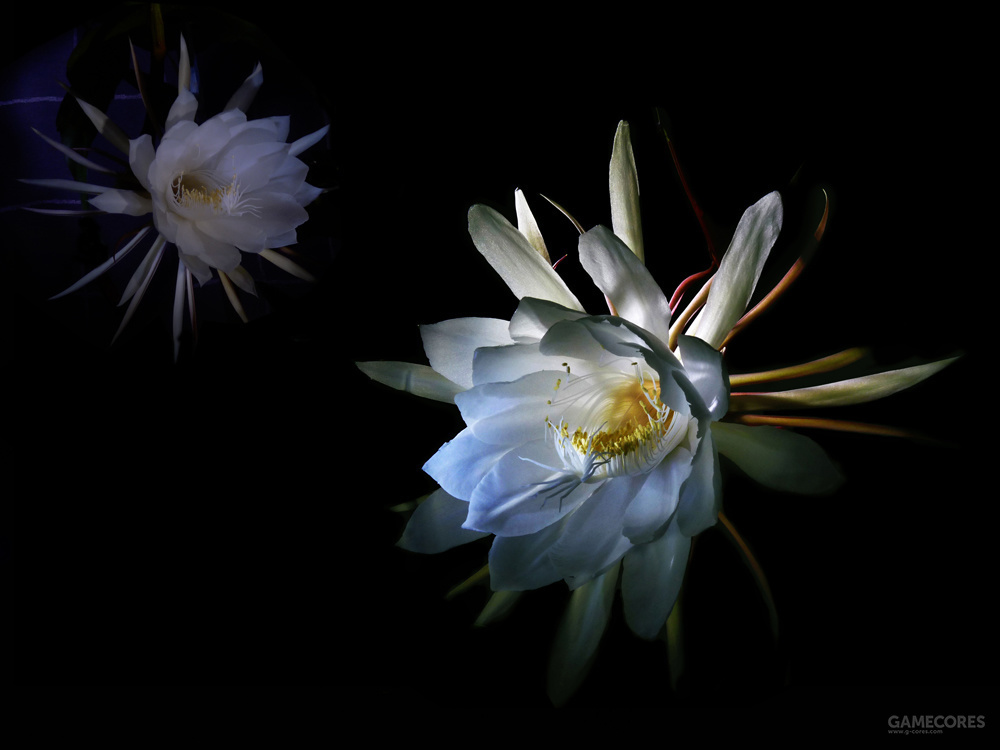 《刀剑乱舞-花丸-》看起来是一部幻想作,实际上里面也埋了不少历史梗