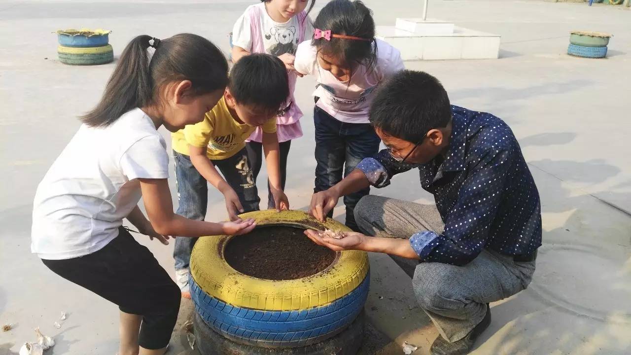 校园寻梦之旅,学校芳华十载逐梦未来