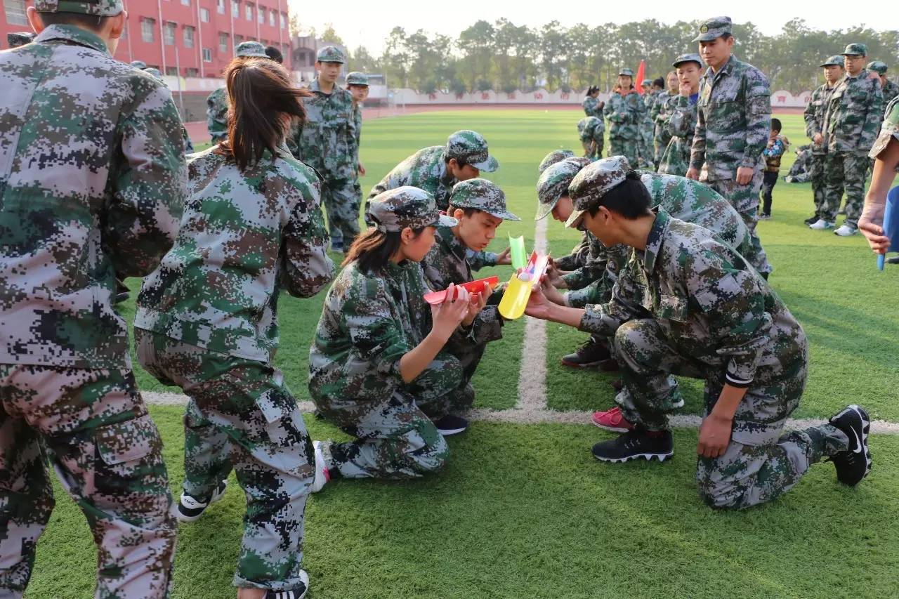 校园寻梦之旅,学校芳华十载逐梦未来