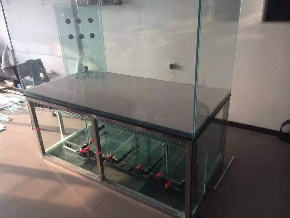 如何有一个好的鱼缸,给自己一个完美的空间