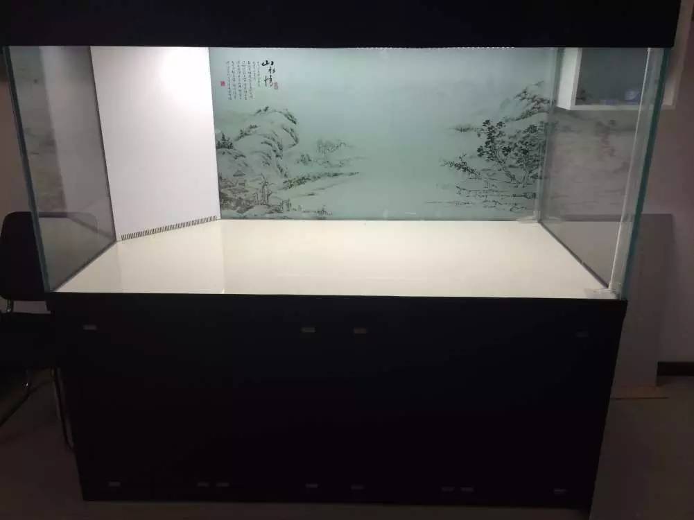 如何有一个好的鱼缸,给自己一个完美的空间