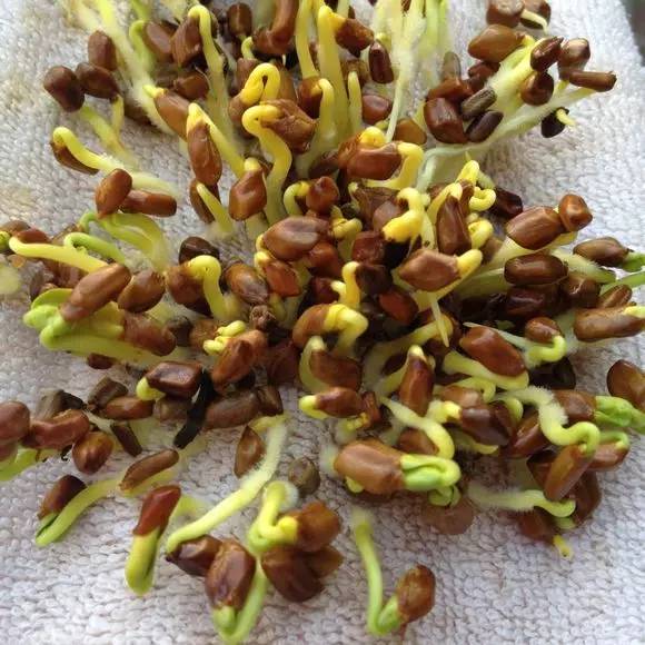 小孩鼻子痒最简单的自愈方法,3岁孩子鼻子痒会流血是怎么回事