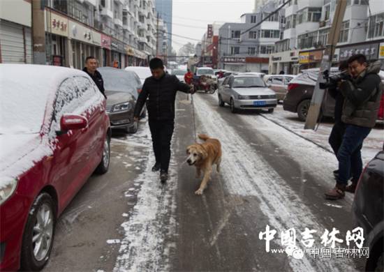 关注乔恒任吉林省民政厅*党**组书记|吉林省公务员笔试可查询成绩