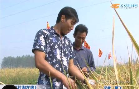 肥料送到家门口,肥料种子下乡