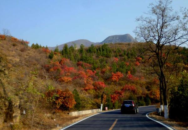 “苹添秋色”—租个房车去旅行