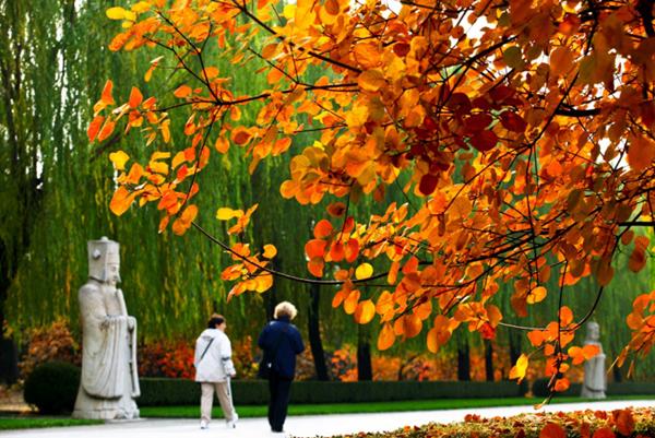 “苹添秋色”—租个房车去旅行