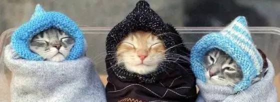 武汉最低温8度怕什么？我们给你测试了几十件轻羽绒服，还自带USB充电加热