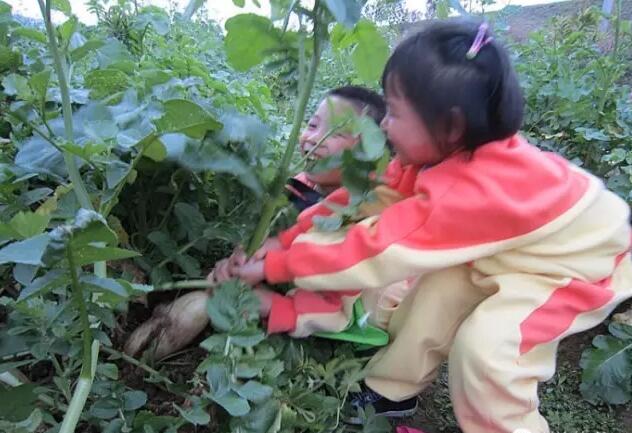 赢商看文旅|祈乐母婴童李知行：创意自然激发文创新形态