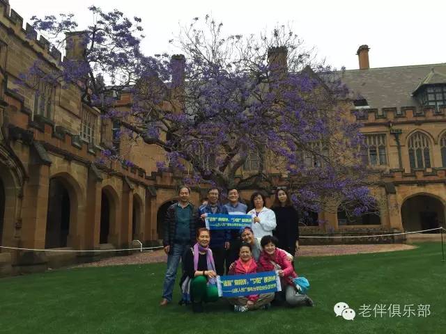 老伴自驾游好不好,6旬夫妻游欧洲