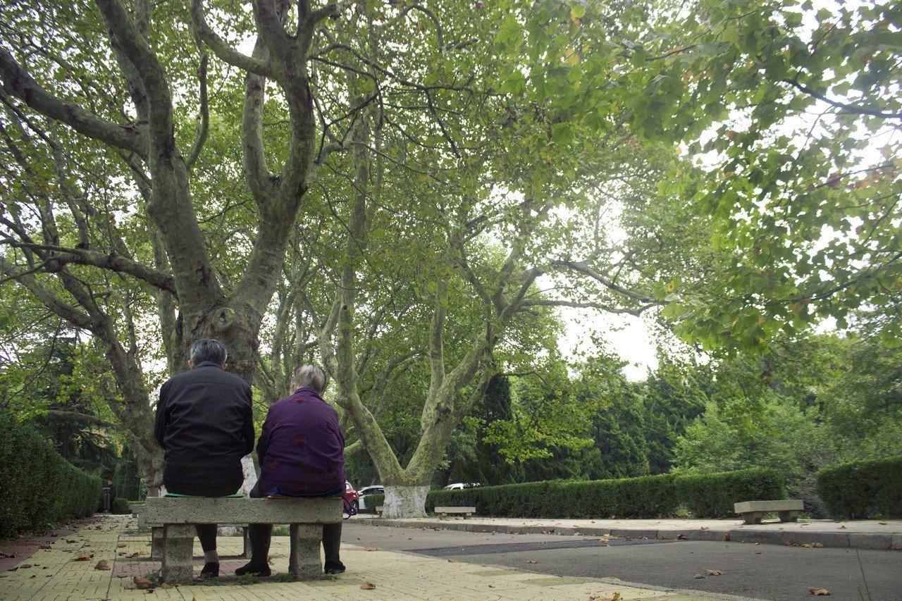 当我从鱼山的每一个角落路过