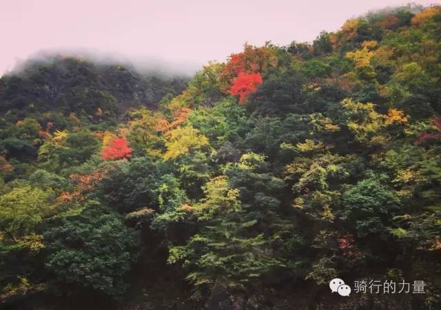 骑行醉美太湖线感受春日美景,骑行感受大自然的美景