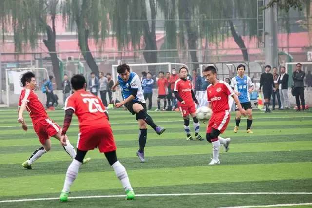 我眼中的足球世界,我眼中的足球世界杯