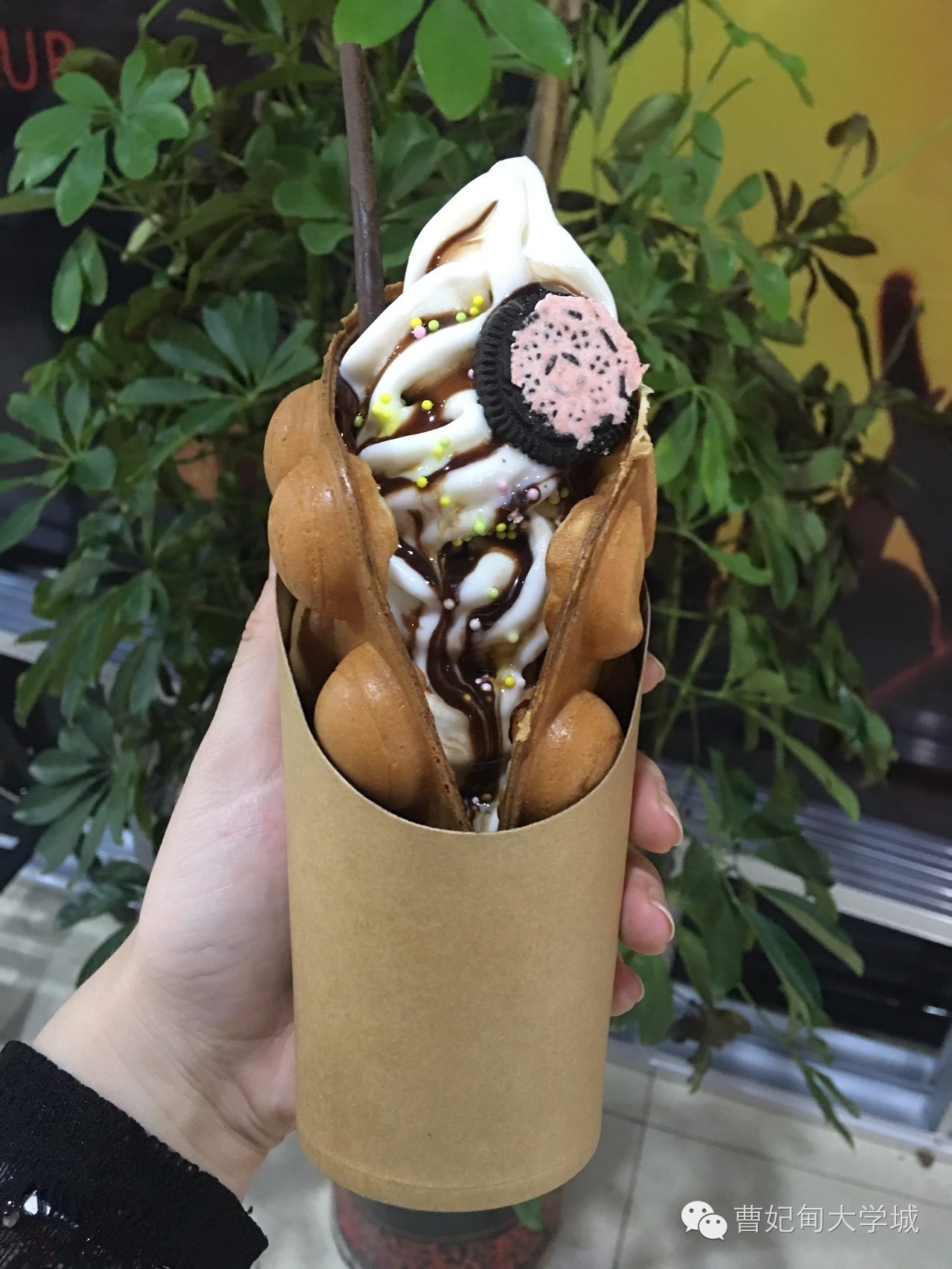 曹妃甸大学城美食探店,曹妃甸大学城美食推荐排名