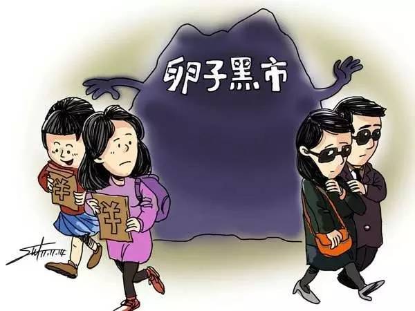 重型运载火箭、卵子*市黑**、海外红色旅游本周热词总结(10.30-11.4)