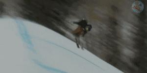 羊驼带你看懂双板Slopestyle(下)