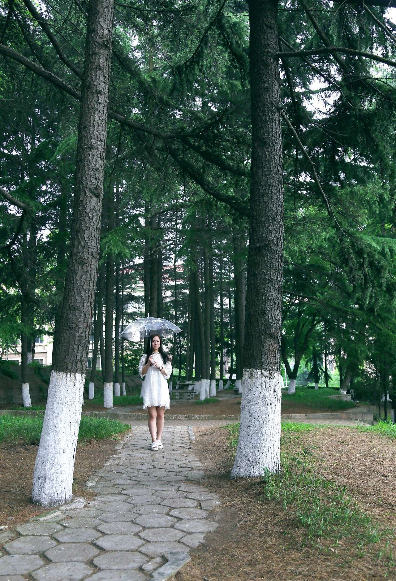 当我从鱼山的每一个角落路过