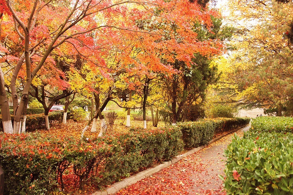 当我从鱼山的每一个角落路过