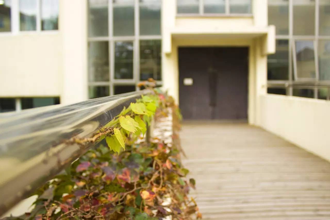 当我从鱼山的每一个角落路过