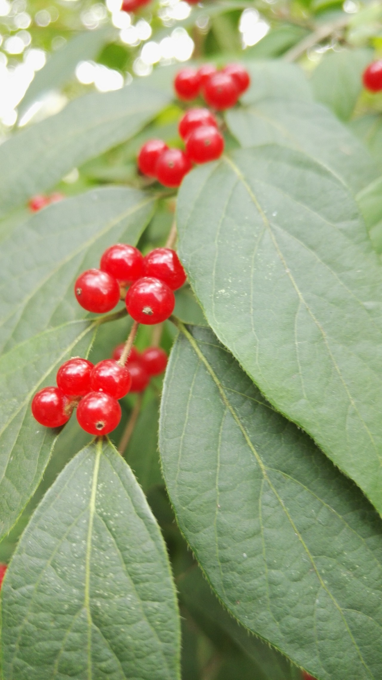 当我从鱼山的每一个角落路过