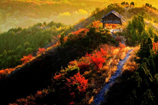 “苹添秋色”—租个房车去旅行