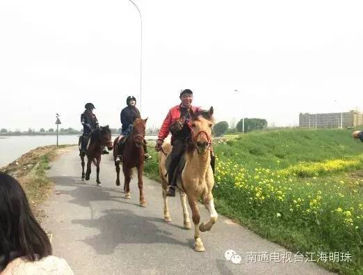 南通开沙岛房车露营套票,房车户外拓展