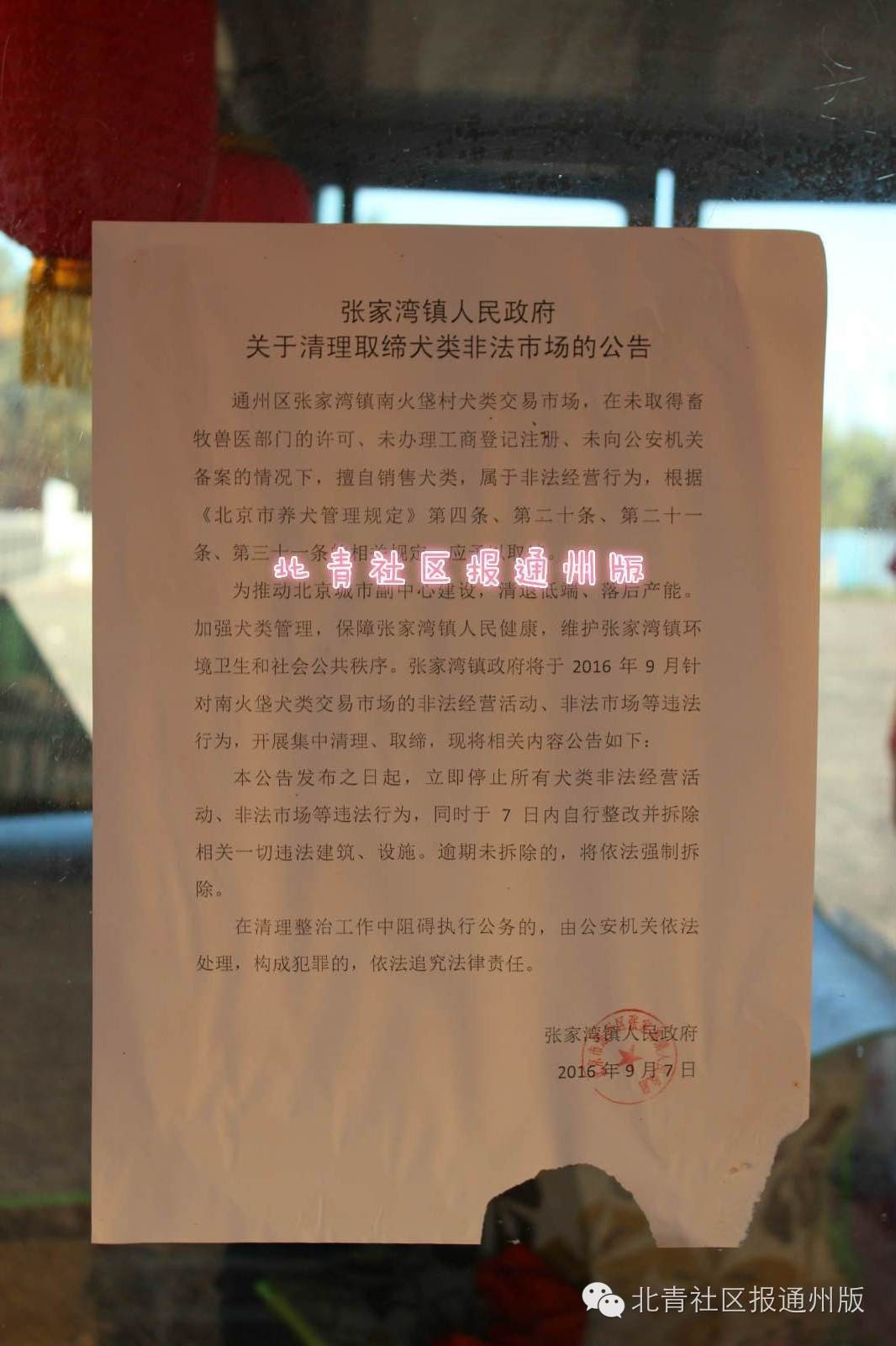 严厉打击偷狗贩子,打击非法流浪狗