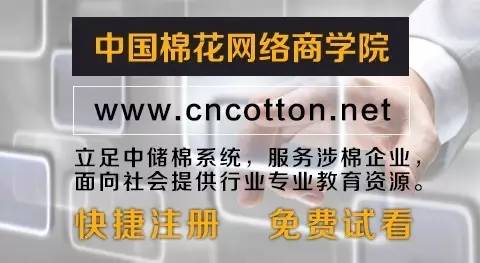 黄河流域:籽棉、棉籽略跌轧花厂态度摇摆