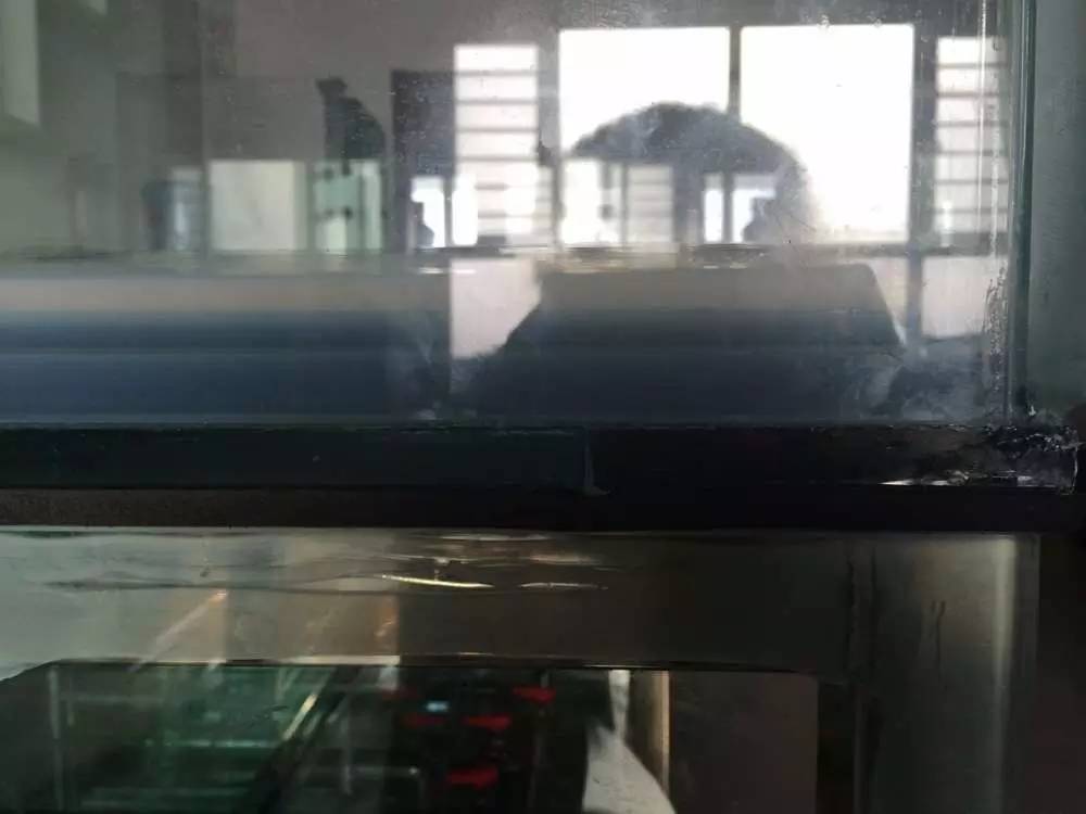 如何有一个好的鱼缸,给自己一个完美的空间