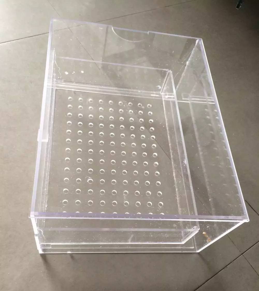 如何有一个好的鱼缸,给自己一个完美的空间