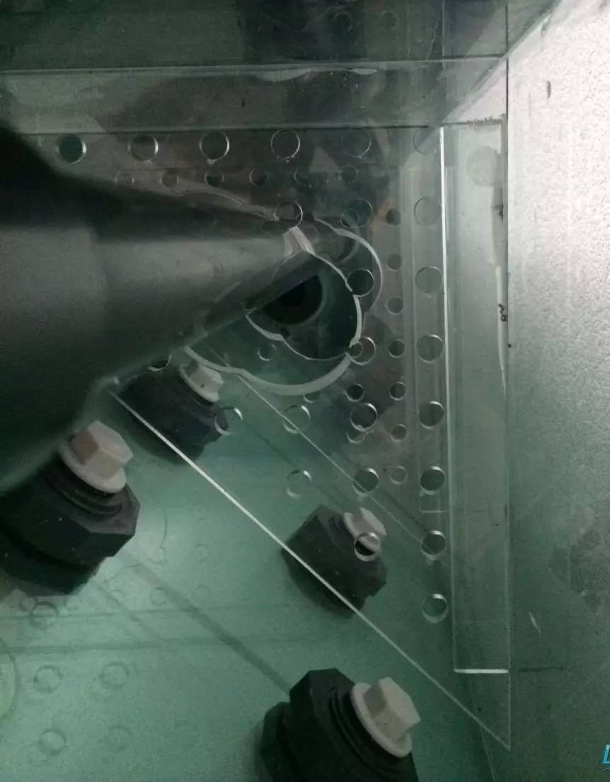 如何有一个好的鱼缸,给自己一个完美的空间