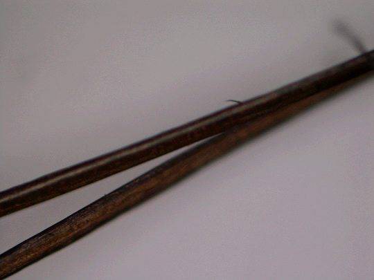 头发为什么会分叉断裂,头发为啥会分叉干枯