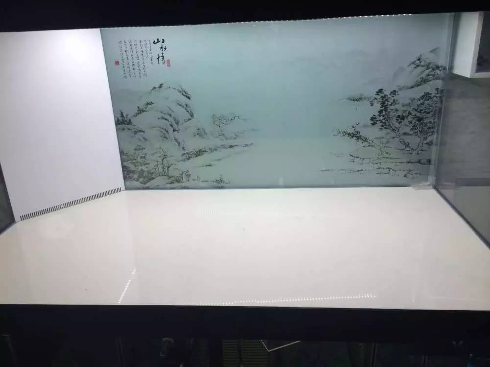 如何有一个好的鱼缸,给自己一个完美的空间
