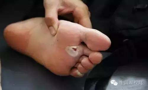 南政新闻系,南政院新闻系