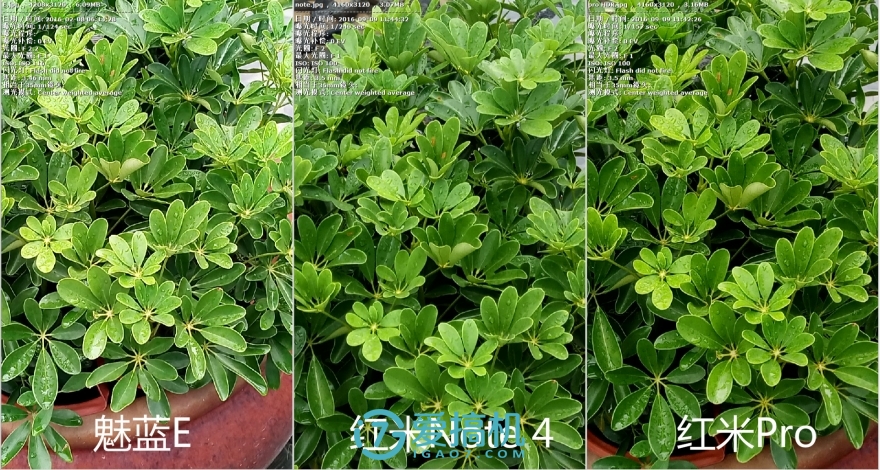 中庸之道slg游戏攻略,中庸之道节选