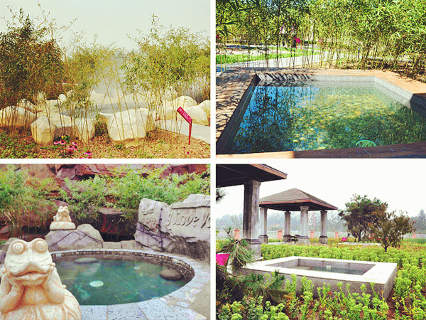 北京蓝调薰衣草庄园图片欣赏,北京蓝调熏衣草庄园能搭帐篷吗