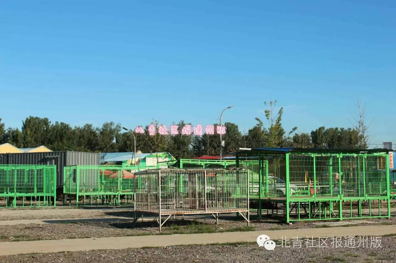 严厉打击偷狗贩子,打击非法流浪狗